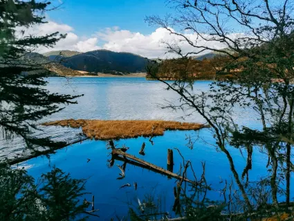 77spins Kasyno Aplikacja mobilna